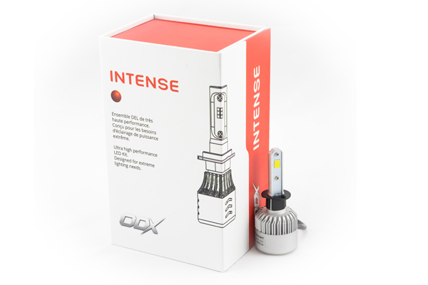 H1 AMPOULES DEL INTENSE (PAIRE)