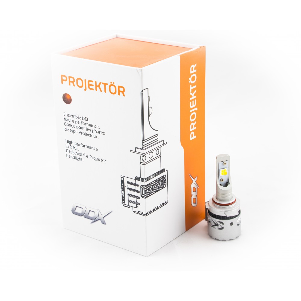 9012 AMPOULES DEL PROJEKTOR (PAIRE)